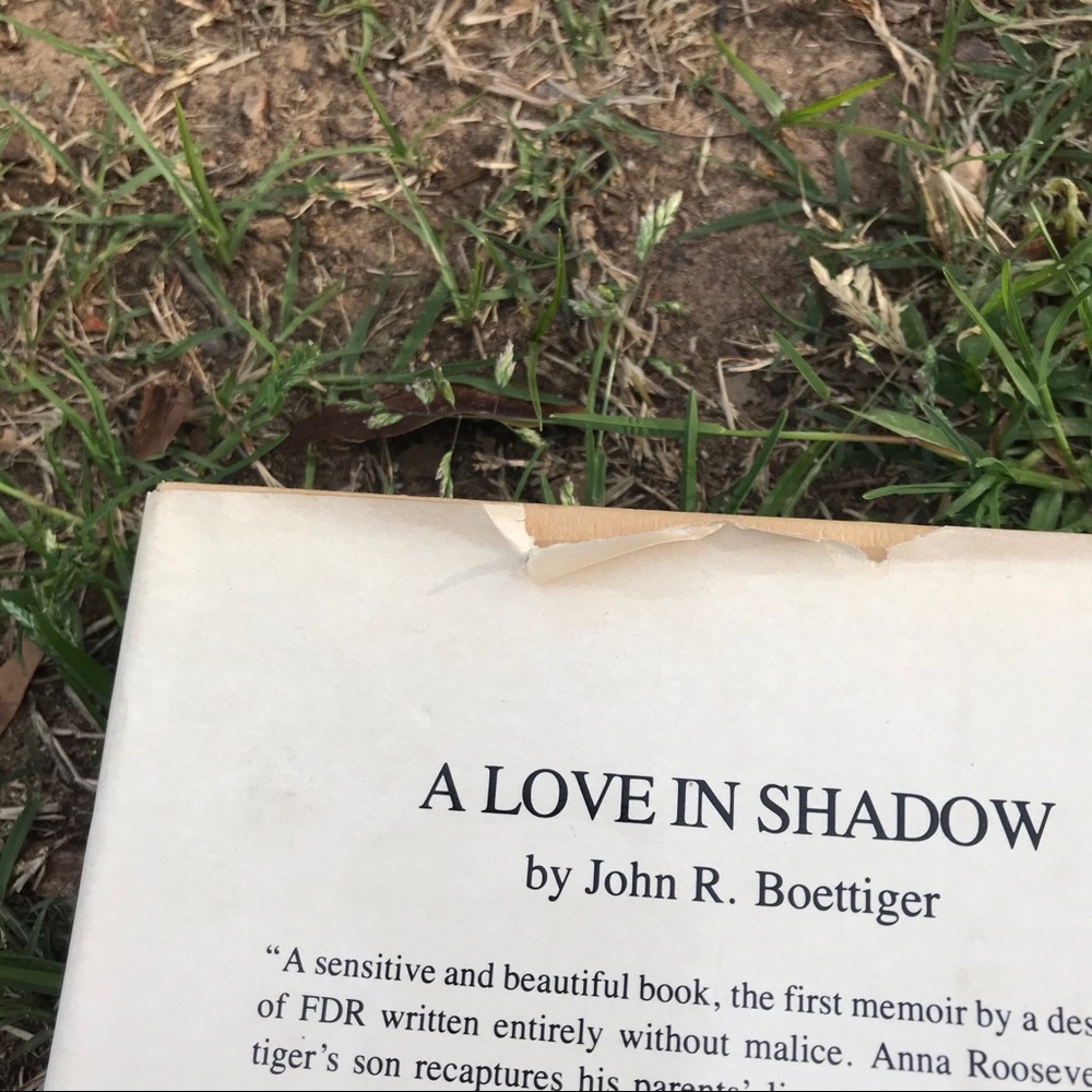 A Love In Shadow book - Picture 5 of 11